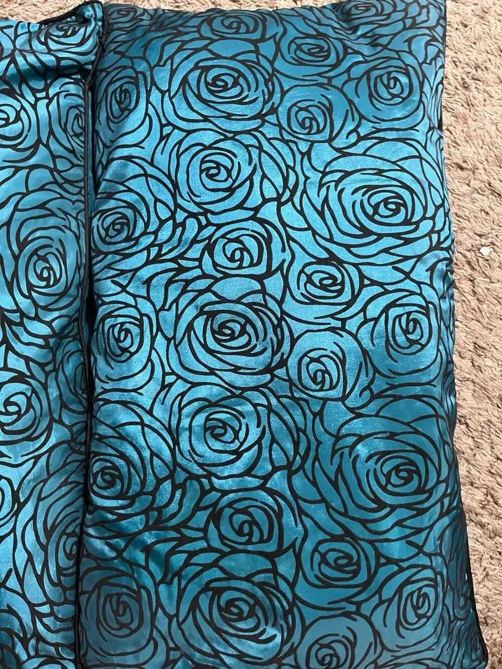 Set of 2 Decorative Teal and Black Rose Print Throw Pillows